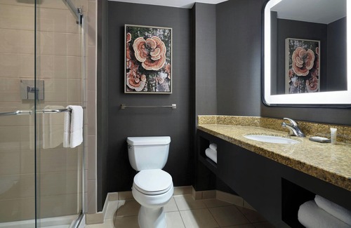 Lone Tree Hotel | Marriott Denver South at Park Meadows