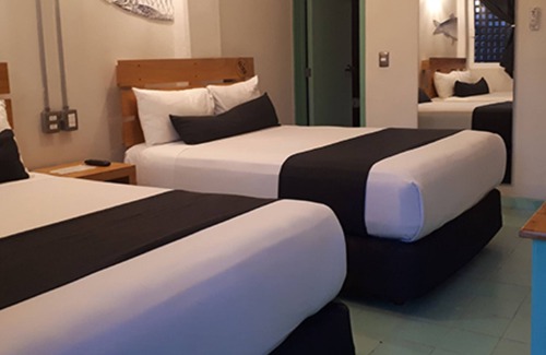 Veracruz Hotel | Mas Basico Hotel