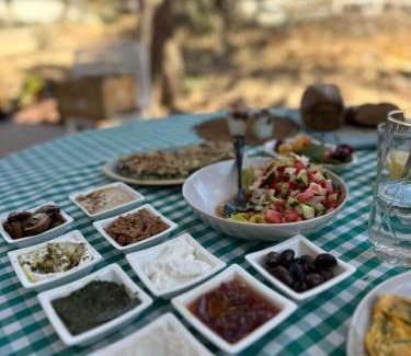 El-Rum Bed & Breakfast | Matar baYaar מטר ביער