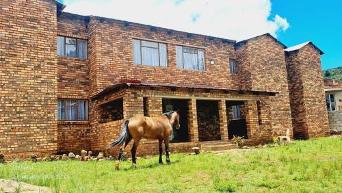 Matibidi House | Matibidi Guest Lodge