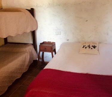 Molinos House | Matices de Molinos Hostal