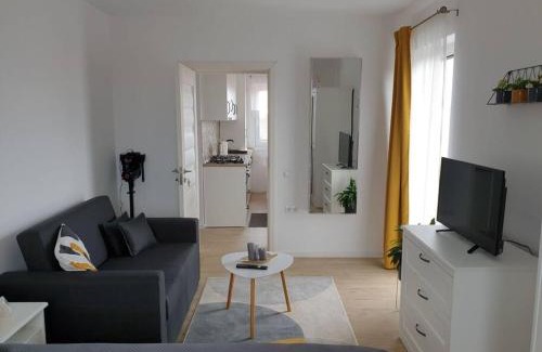 Tirgu Mures Apartment | Max Studio