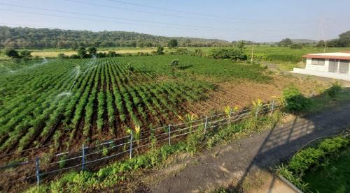 Khattalwada House | Maya Farm Stay, Tipeshwar Wildlife Sanctuary