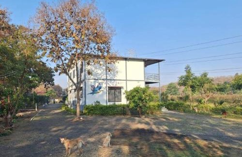 Khattalwada House | Maya Farm Stay, Tipeshwar Wildlife Sanctuary