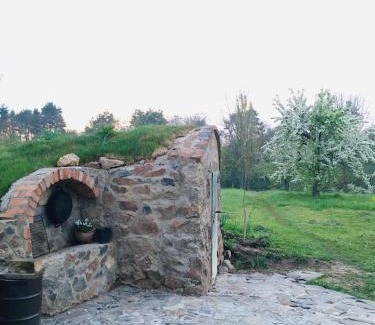 Vinnytsia Oblast Apartment | Mazanka ua Під Вишнею унікальний будинок на березі річки