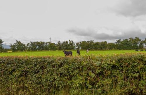 Ballyclare Apartment | Mc Callstown House Apartment