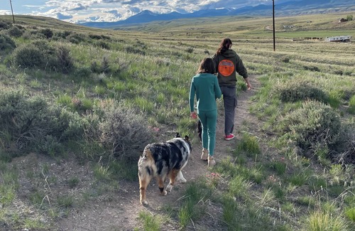 Dillon Cabin | Meadowlark Yurt in Dillon with WiFi