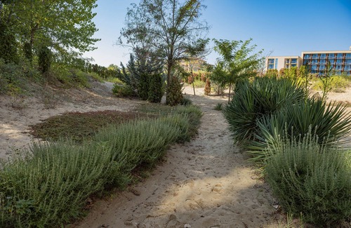 Sunny Beach Apartment | MENADA * DUNE Residence * Cozy studio