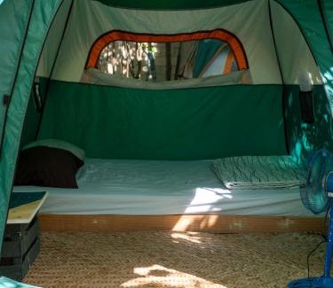 Tankah Other | Menhir Maya