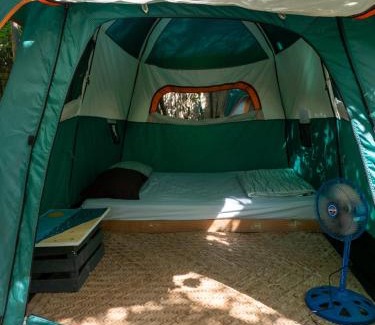 Tankah Other | Menhir Maya