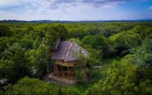 Tangalle Cabin | Mermaid Cabana and Tree Houses