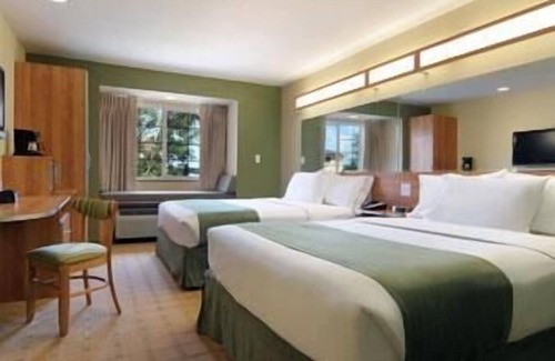 Saraland Hotel | Microtel Inn & Suites by Wyndham Saraland/North Mobile