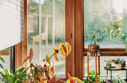 Wade Hampton House | Mid Century Modern Time Capsule….3 miles to downtown Greenville!