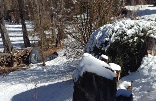 Potrerillos Cabin | Mil Piedras Cabins