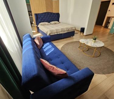 Tirgu Mures Apartment | Milan Luxury Apartaments I-Maurer Residence Târgu Mureș