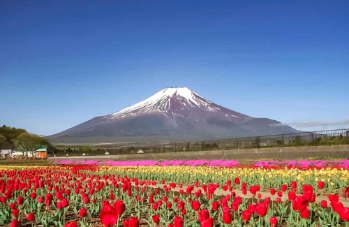Yamanakako Hotel | Minamitsuru-gun - Hotel / Vacation STAY 45535