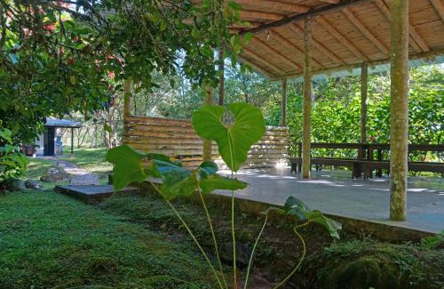 Mindo Hotel | Mindo Real
