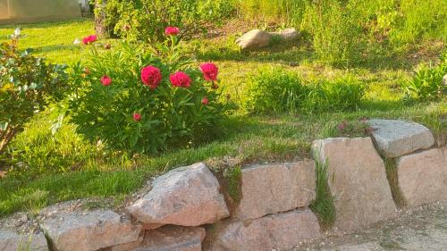 Cavalese Apartment | Mini Maule