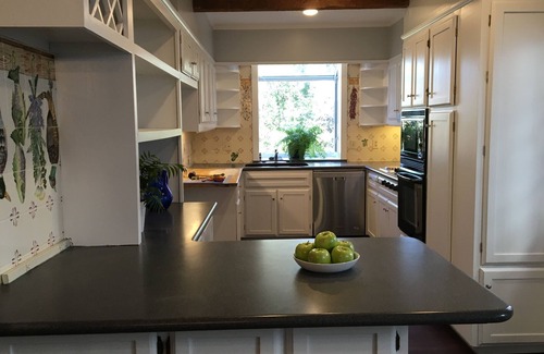 Buckhead House | Minutes from MBS & Truist - Pet Friendly Home in Exclusive Neighborhood