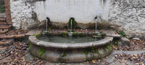 Quesada Ski Chalet | Mirador del Carpintero