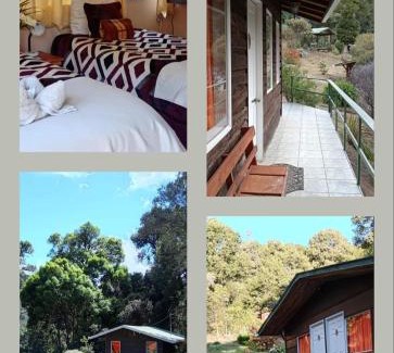 San Gerardo de Dota Bed & Breakfast | Miriam'S Quetzals lodge