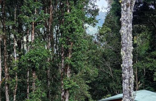 San Gerardo de Dota Bed & Breakfast | Miriam'S Quetzals lodge