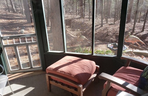 Cabot Cottage | Miss Martha's Mini Croft one bedroom