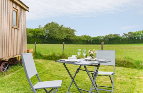 Ashford Cabin | Mist Shepherd's Hut by Bloom Stays - eco shepherds hut sleeping 2