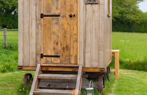 Ashford Cabin | Mist Shepherd's Hut by Bloom Stays - eco shepherds hut sleeping 2