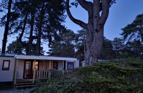 Quend House | Mobile home Rapidhome 2024 6 persons 3 bedrooms 2 bathrooms 2 toilets with terrace in a quiet area