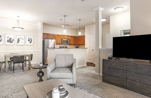 Mint Hill Apartment | Modern Apartment in Prime Location (ID8995X37)