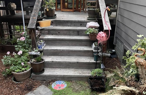 Myers Flat House | Modern,Clean,Home in the Heart of The Ave. of the Giants ,STARLINK,Gated