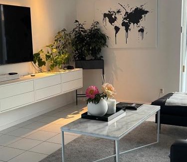 Oster Villa | Modern Luxury Home in Malmö