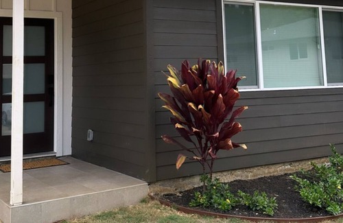 Kaneohe Apartment | Modern Studio at Ko'olau Mountain