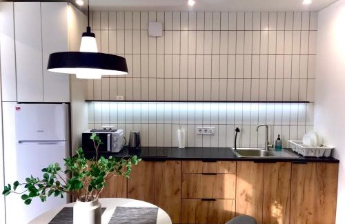 Maliyevtsy Apartment | Modern Studio City Center дуже затишно! Netflix