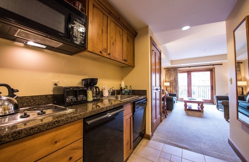 Crested Butte Cabin | Modern Studio Condo | Fireplace and Balcony