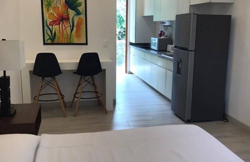 Puerto Aventuras Condo | Modern Studio Puerto Aventuras 202