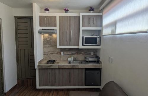 Tepotzotlan Apartment | Moderna, Comoda Suite Palma en Tepotzotlán centro