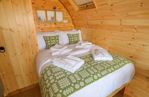 Denbigh House | Moel Arthur