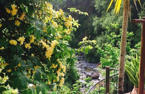 Faial House | Moinho do Comandante