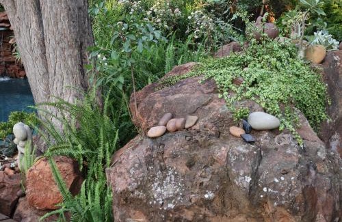 Roodeplaat Apartment | Monkey Thorn