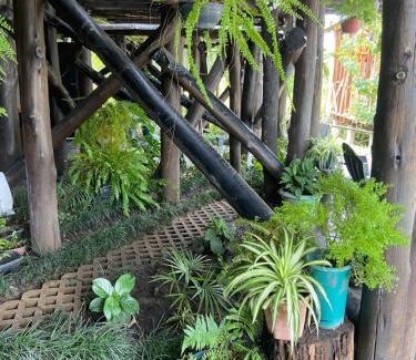 Concordia Apartment | Monoambiente Playa Nebel