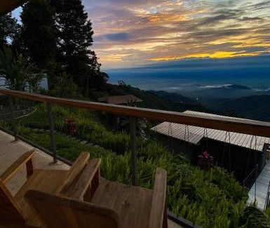 Roldanillo Other | Montana Posada