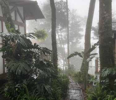 Roldanillo Other | Montana Posada