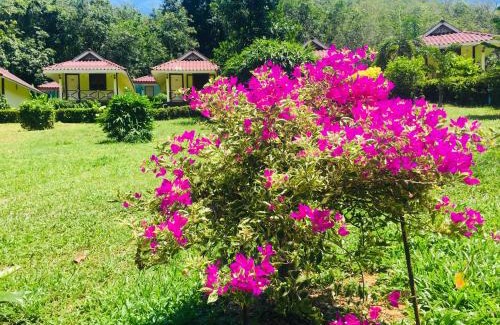 Ko Mook House | Mookies Bungalows