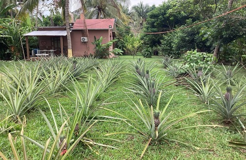 Tuxtla Chico Cabin | Moonshine, rustic pool, Starlink, AA, kitchenette, hammock, KING size, vegetable garden