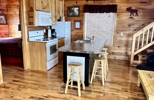 Bryant Cabin | Moose Tracks with beautiful views and a hot tub!