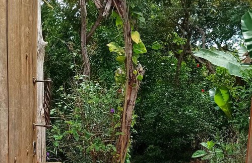 Lencois Cabin | Morada Sustentável