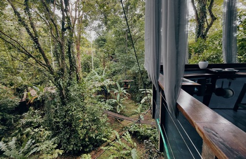 Cocles Cabin | Morpho - adventurous Treehouse with amazing 360 view with pool and wifi access
