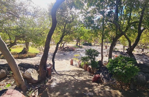 Thorny Bush Game Reserve Cabin | Morula Safari Lodge